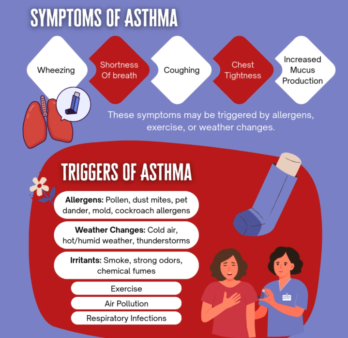 UNDERSTANDING: Symptoms, Triggers, and Treatment – An Infographic