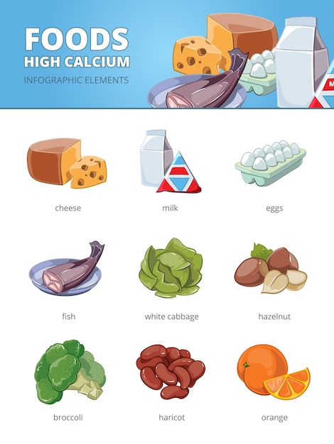 A variety of calcium-rich foods including dairy, leafy greens, and nuts