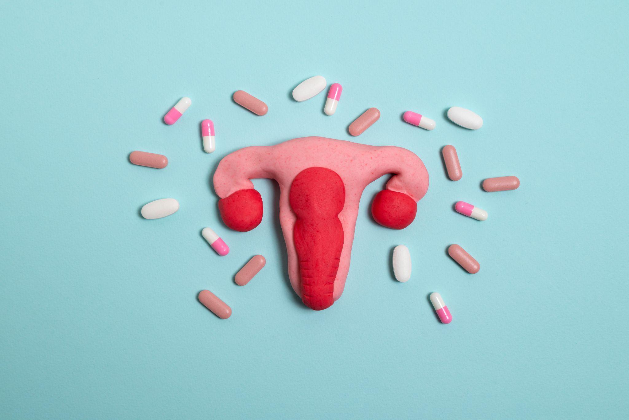 Uterus model surrounded by various pills