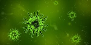Microscopic view of infectious virus cells under magnification
