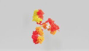 3D antibody structure in red and yellow against a light grey background.