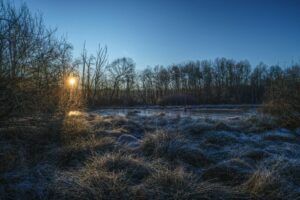 Winter sunrise over a frosted field with trees in the background.